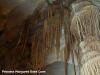 Princess Margaret Rose Cave